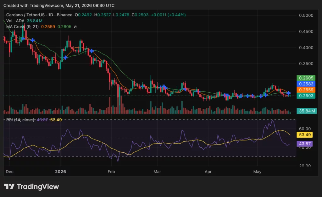 Cardano (ADA) price chart, source: crypto.news