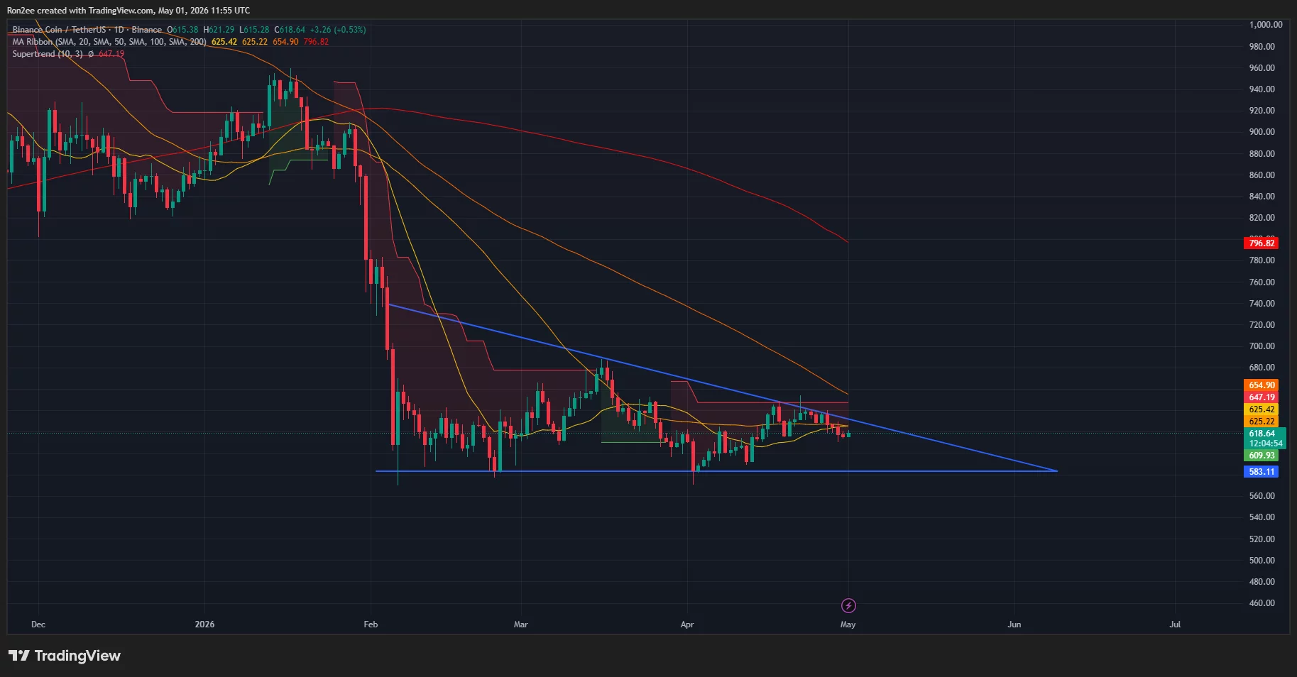 BNB price has formed a descending triangle pattern on the daily chart.