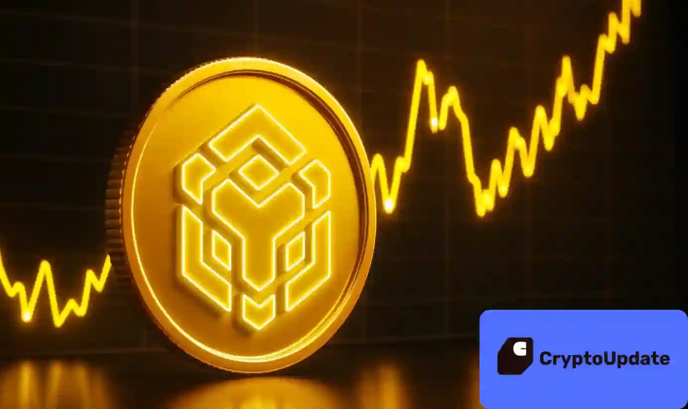 BNB price tests critical support as bearish market and technicals point to more downside